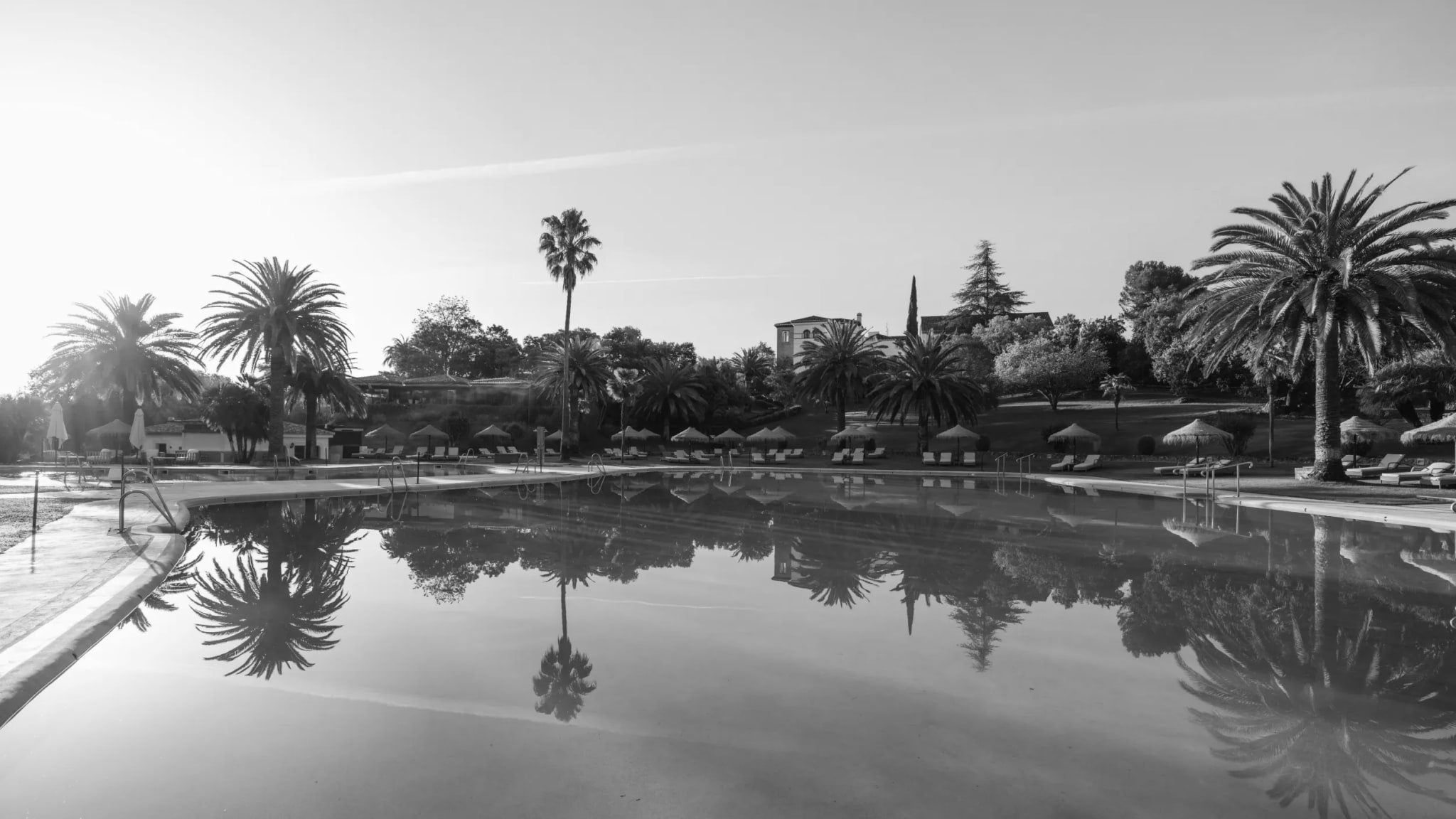 Finca La Bobadilla’s palm-lined swimming pool at sunset in the Andalusian countryside.